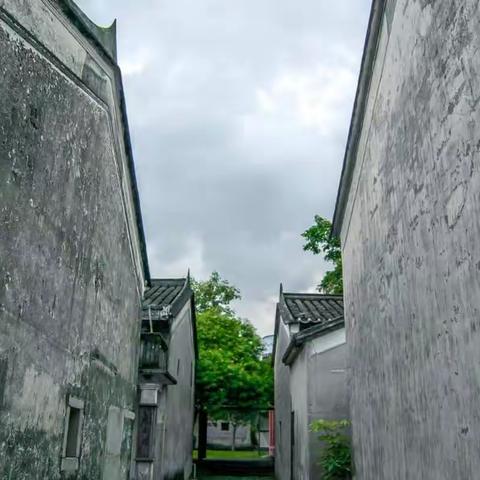 深圳最美村庄-观澜版画村