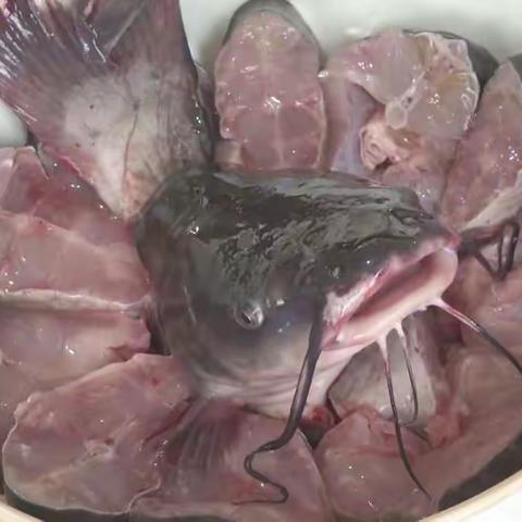 在水一方农家院，美食传承——鱼羊一锅鲜！