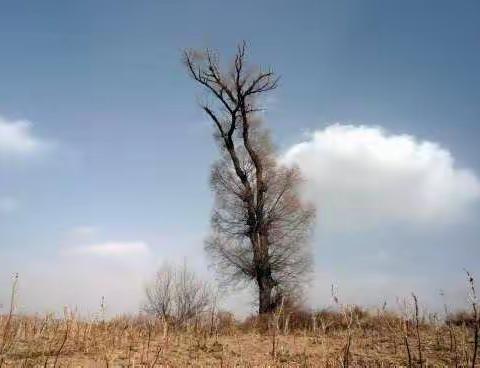 把自己融入春天的画幅中