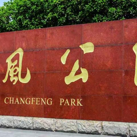 重游长风公园·