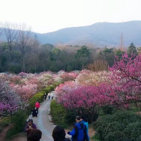 承包海洋馆de土豪生日party是怎样的体验？