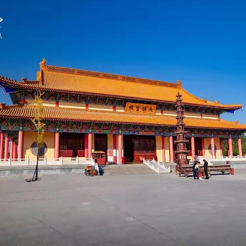 西公园随拍