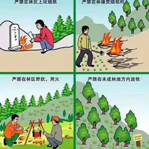 仙步小学进行清明节森林防火主题教育