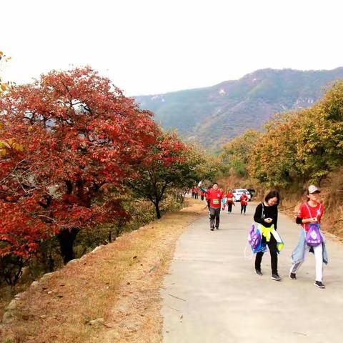 记“兴全基金·2018环泰山国际户外徒步大会”：风采篇