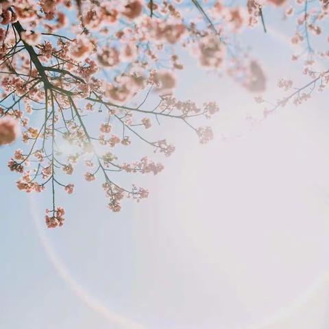 带我到你的天空