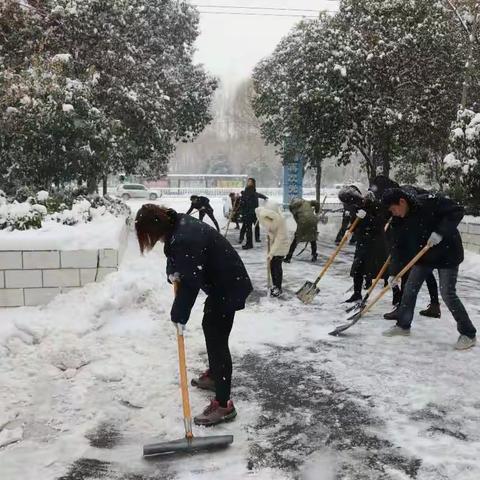 “浴雪”奋战——郾城国税在行动