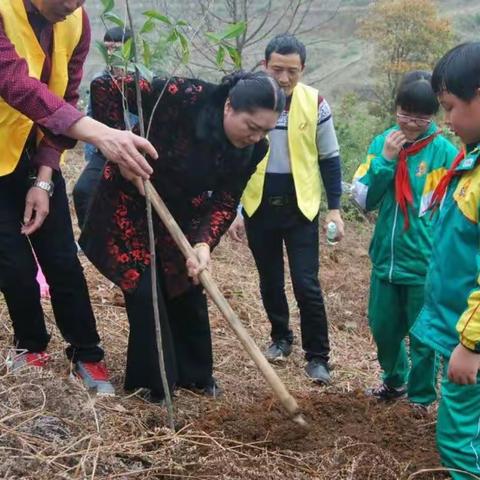 阳春三月好植树 大手小手喜添绿