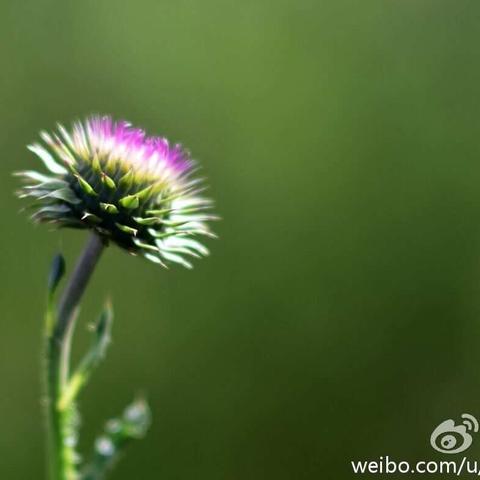 以学、听、评为手段，力促提升教师专业发展（四）——东泗中心小学一二年级数学教师教研活动剪影