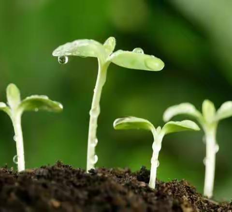 春雨无声，滋润心田——2019内蒙古百名专家科普传播行春季活动走进科右前旗民族中等职业学校