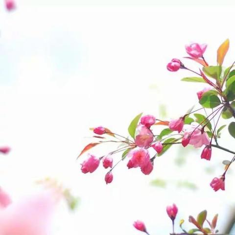 我和春天的约会之春天的童画