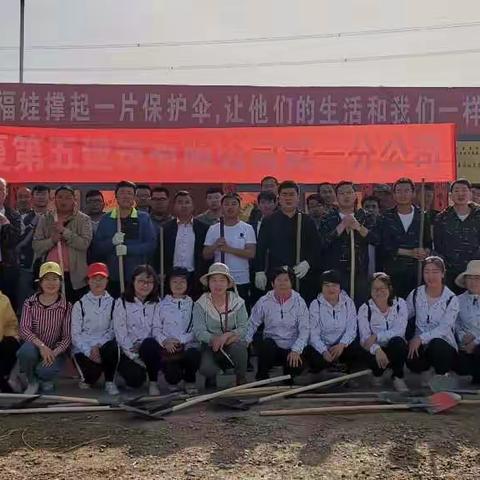 种下一棵树 收获一抹绿