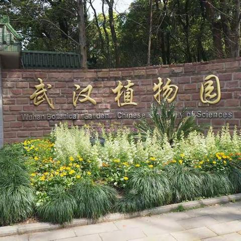 武汉植物园 郁金香 桃花