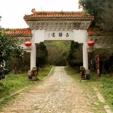 江医七四级赣州籍部分同学相聚在大余梅关