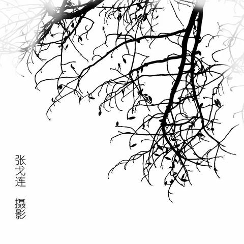 看透·想开·放下