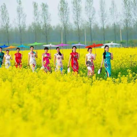 祝美女们节日快乐