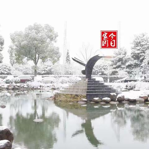 雪show家园