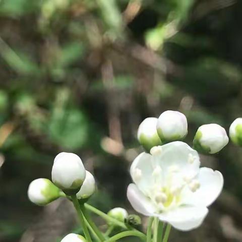 这一路，我愿陪伴