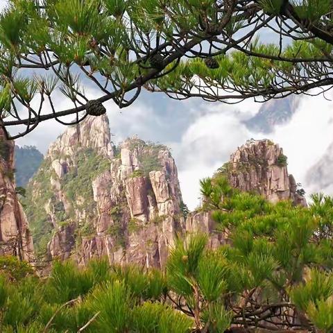 醉美黄山（上）