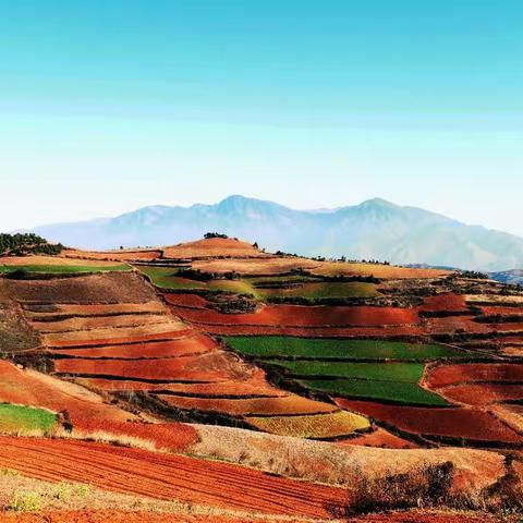 云南休闲游之九———东川红土地