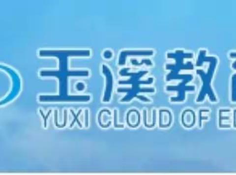 玉溪市教育局在通海进行教育信息化工作调研