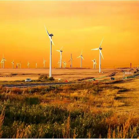 呼伦贝尔的秋天