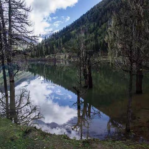 我的美篇塔公寺、四姑娘山