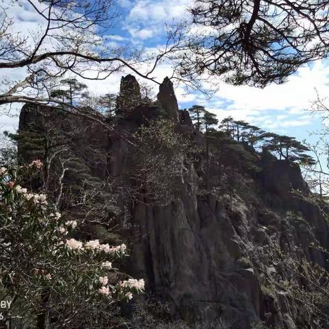 再上黄山。(2018年4月25日)。