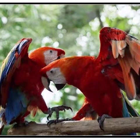 美洲游之十四：哥伦比亚_卡塔赫纳港口（原创）