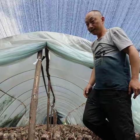 一周一事 - 牧护关的育菇人