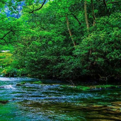 贵州、云南15日游