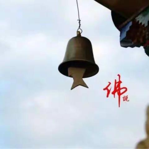 大彻大悟，必须由静做起！