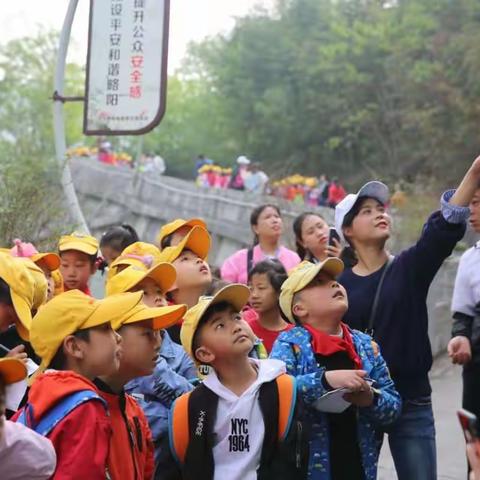 东关小学开展“登南山、赏春光”春游活动