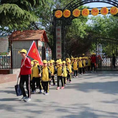 走进大自然 拥抱春天