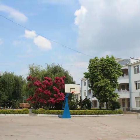 只有善于总结    才能不断进步——教育局对高大中心学校2017-2018年度标管理考核工作圆满结束