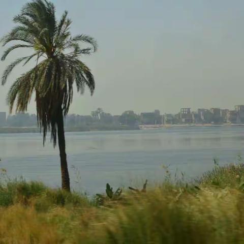 走马观花看埃及