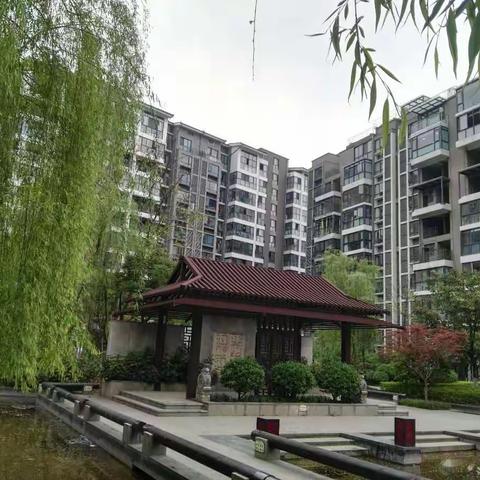 为松陵栽树的一位老人,您一路走好(原标题:楊柳下の松陵)