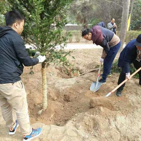 区编办积极参加3.12植树节活动