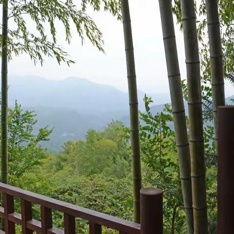 余杭径山寺一日游