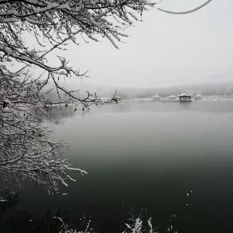 最喜晚霞湖，冬雪似春潮。