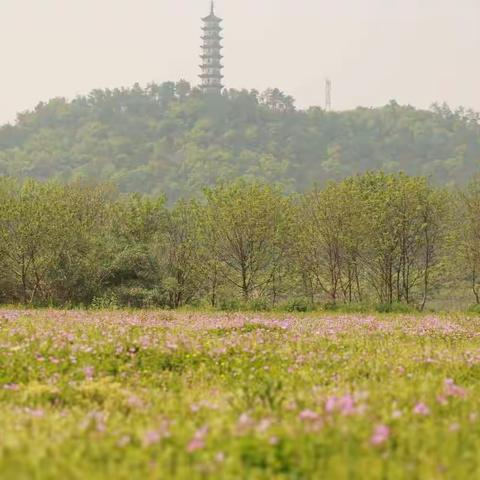 跟春天的约会——曙光学校踏青记。