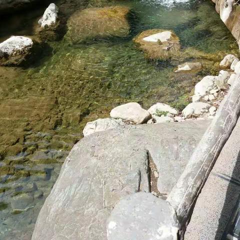 云台山云雾缭绕，悬崖峭壁，苍翠欲滴