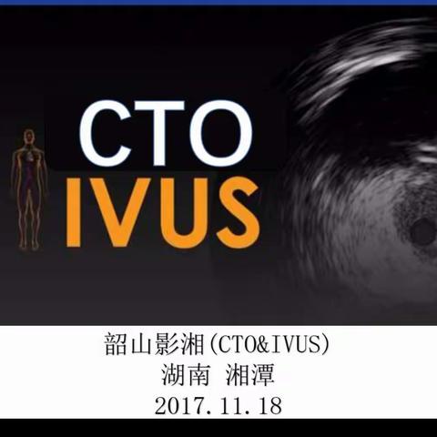 韶山影湘-IVUS-优化支架植入病例