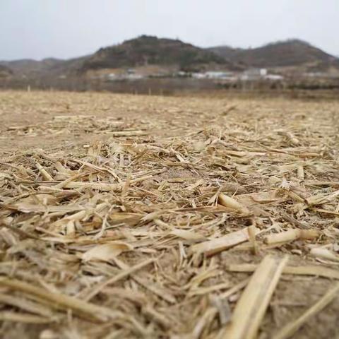 那些留在记忆中的村落