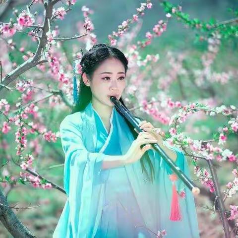 桃花盛开等你来