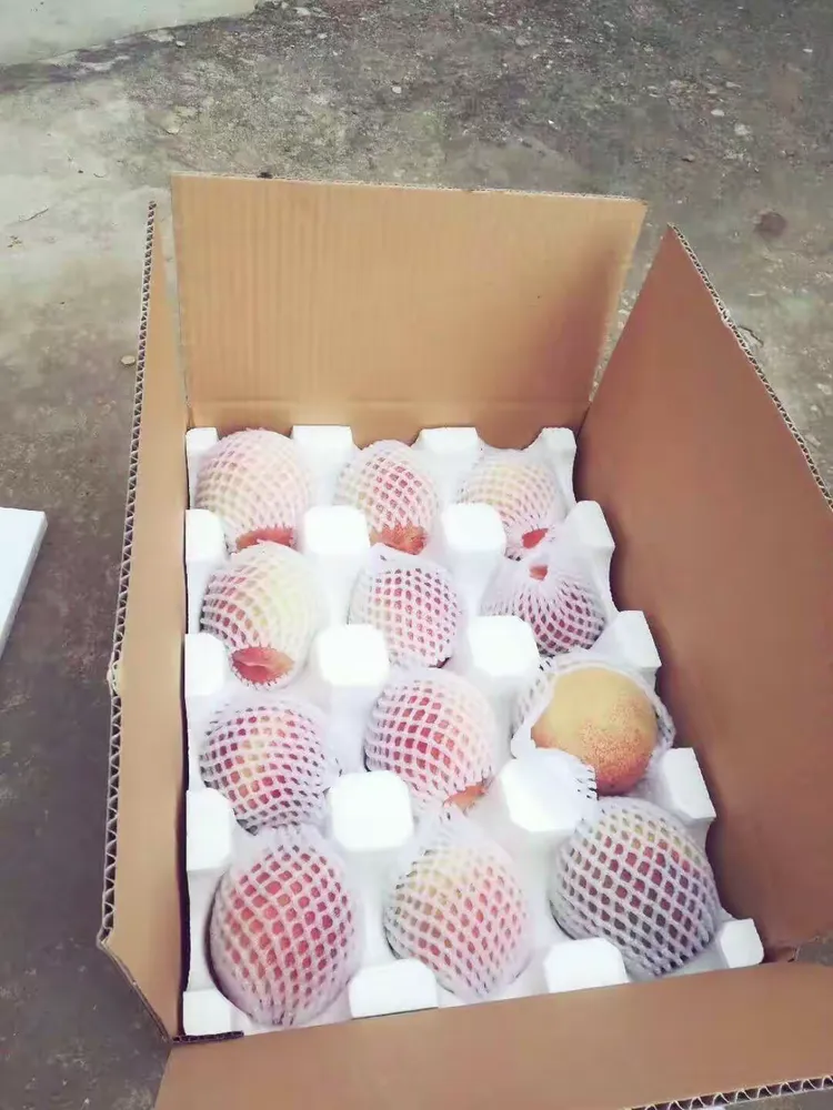 ������賿��������ܫ����- ũ��İ����:���ˮ����