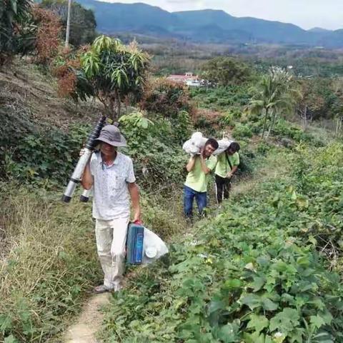 三亚无线传输覆盖网工程工作汇报  2017.1.19