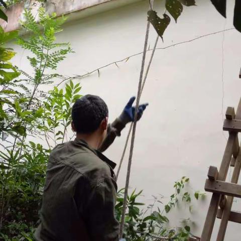 三亚无线传输覆盖网工程工作汇报  2017.1.20