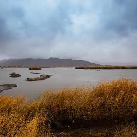 可可托海的秋山、秋水和秋树。