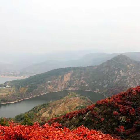 漫山红遍，层林尽染