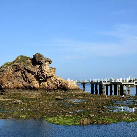 与儿子的荣成3日行